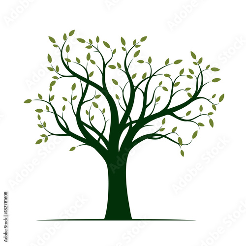 Shape of Green Tree with Leaves. Vector Illustration.