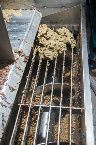 Olive Oil pomace, after the separation from oil and water