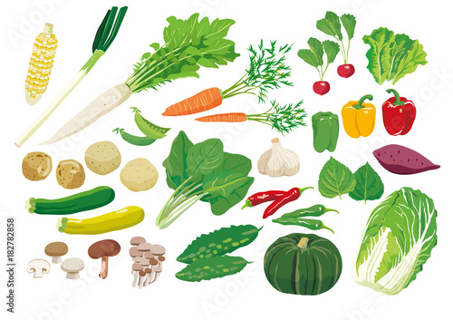Print野菜