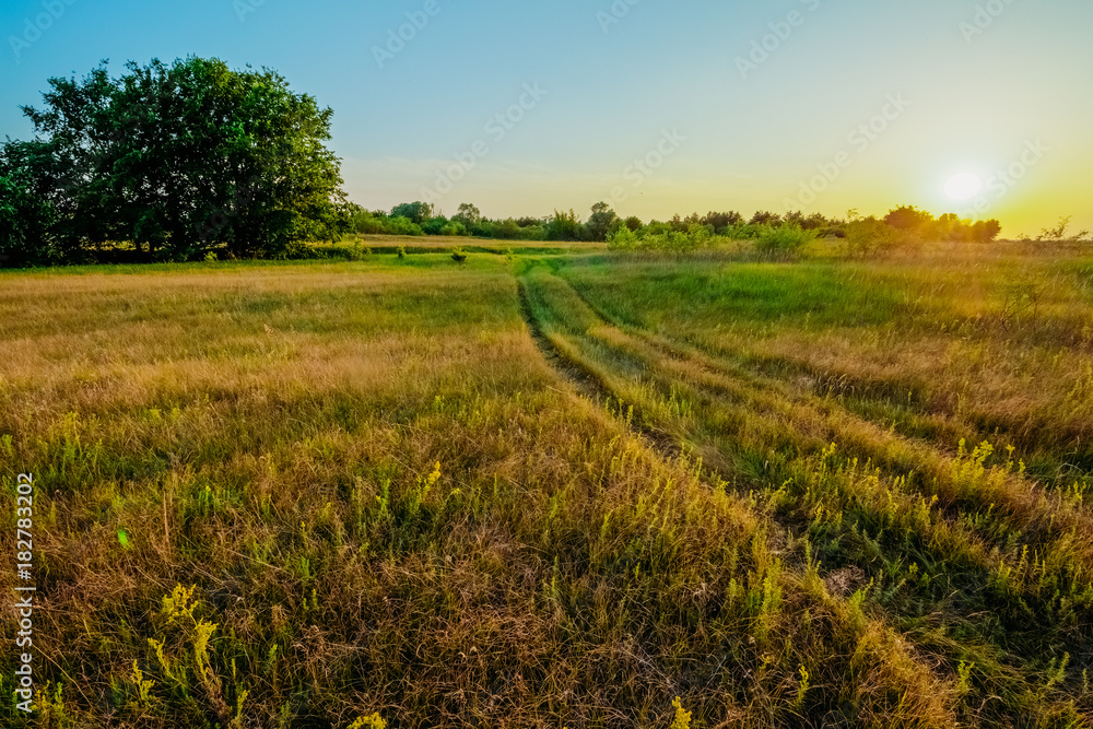Landscape field with rural road at sunset