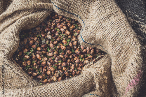 Tamarack Cones in Burlap Sack photo