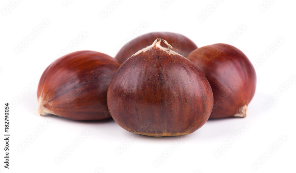 Fresh chestnuts isolated on white background. Hippocastanum isolated. Chestnut with clipping path Fresh chestnuts isolated on white background. Hippocastanum isolated. Chestnut with clipping path