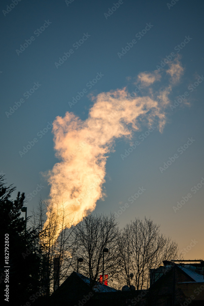 steam lit by the morning sun