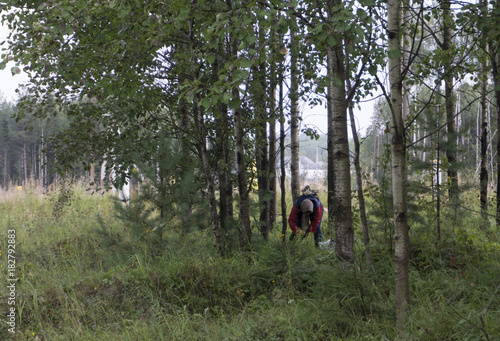 grandma in the woods to gather mushrooms © baon