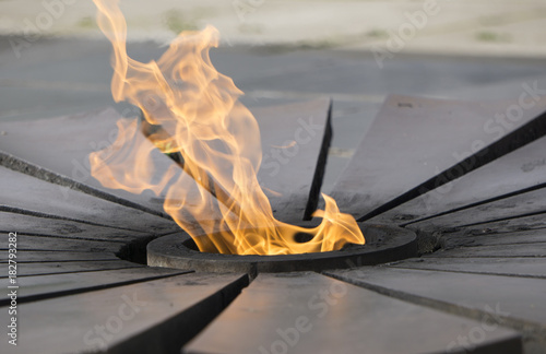 Canvas Print Burning an eternal flame in a circle with petals