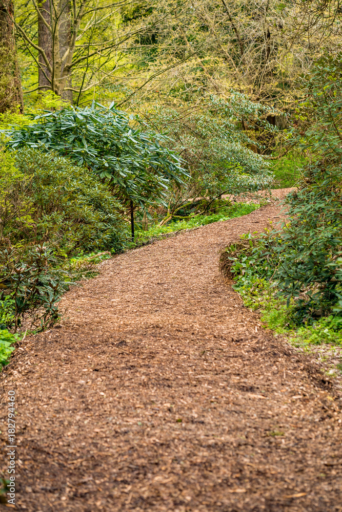 wooden chip covered trail in the forest wooden chip covered trail in the forest