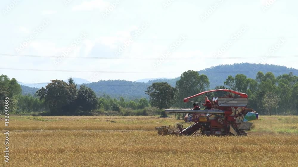 Harvesting agricultural combine machine with reel and cutter bar is threshing oats on farmland. Harvesting agricultural combine machine with reel and cutter bar is threshing oats on farmland.