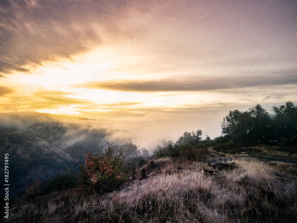 Foresthill Sunrise - Blanket of fog