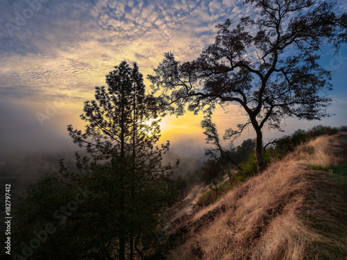 Foresthill - Foggy Sunrise