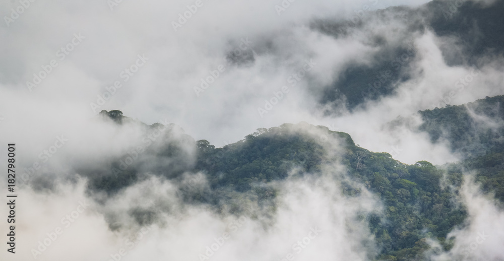 Fog in the moutain