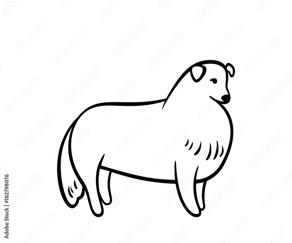 Vector outline sheltie. Vector outline sheltie.