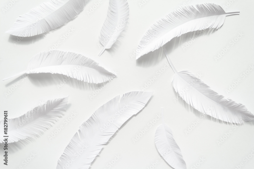 the feathers of a bird made of white paper on white background the feathers of a bird made of white paper on white background