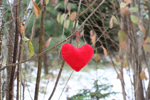 Red decorative plush heart on tree branch in autumn park.