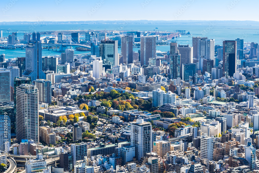 Fototapeta premium 東京ベイエリア