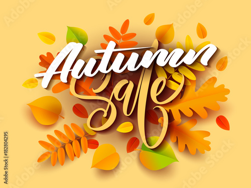 Autumn banner background with fall leaves. Vector illustration