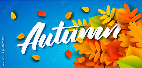 Autumn banner background with fall leaves. Vector illustration