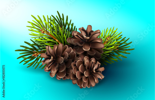 Stock illustration of Christmas tree branches with pine cones