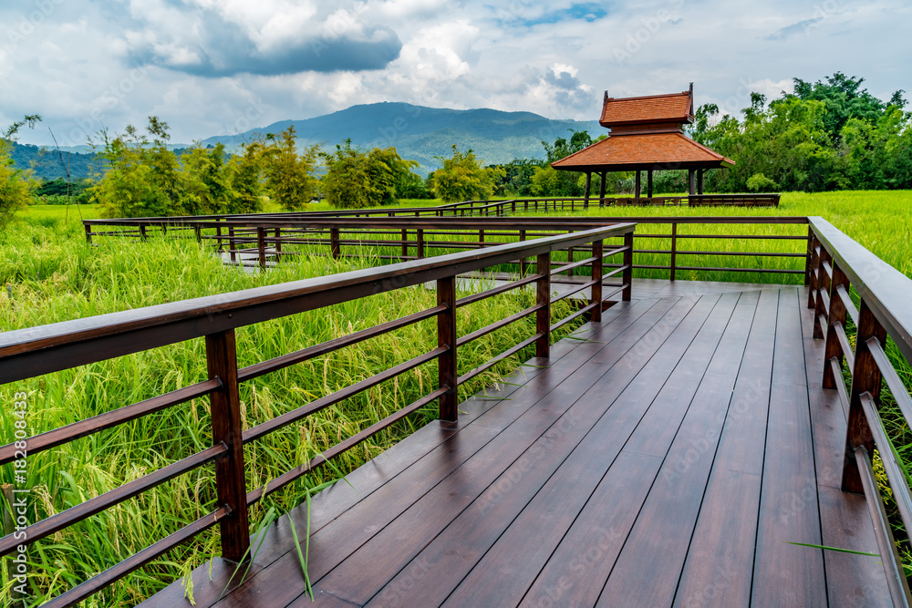 Fototapeta premium Footbridge in the paddy