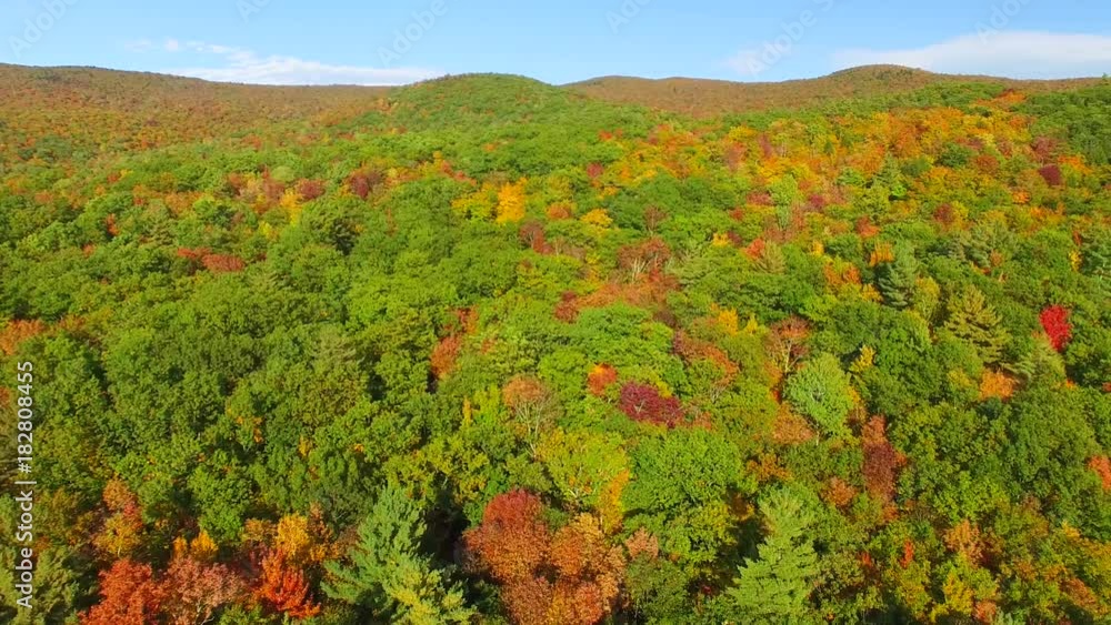 Aerial view of forest trees in New England, foliage season Aerial view of forest trees in New England, foliage season