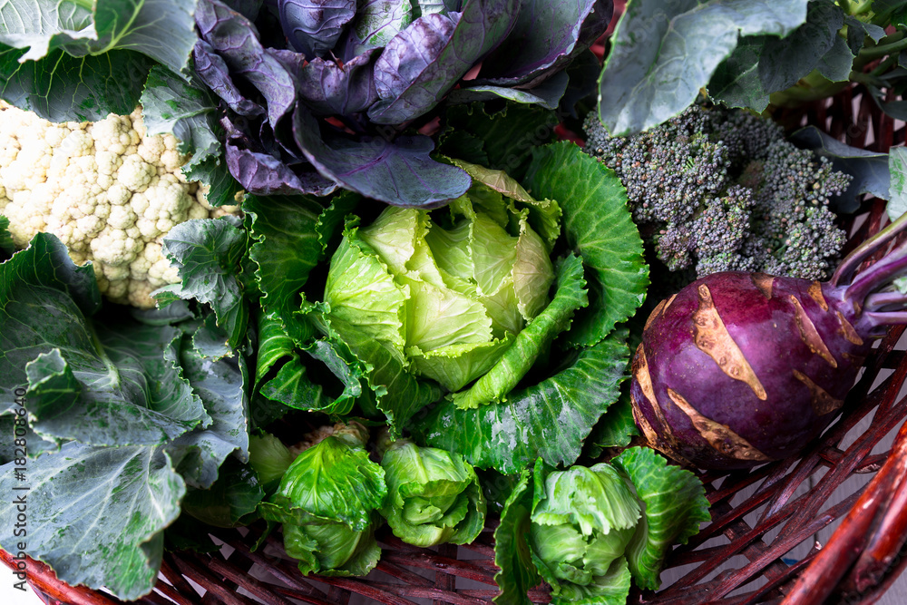 Various of Cabbage Broccoli Cauliflower. Assorted of Cabbages in Basket. - obrazy, fototapety, plakaty 