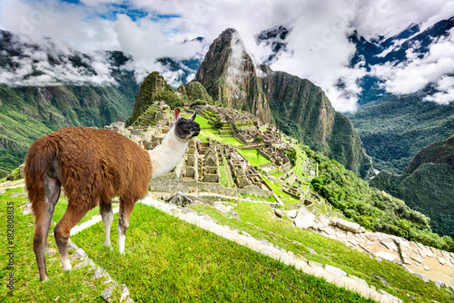 Machu Picchu, Cusco, Peru in South America © ecstk22