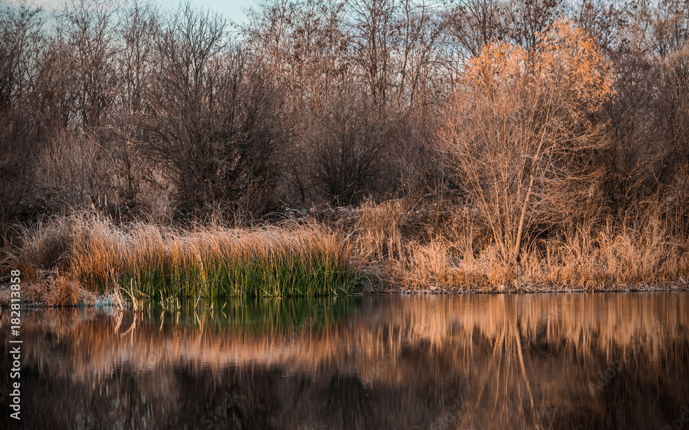 Obraz premium Morning on the river