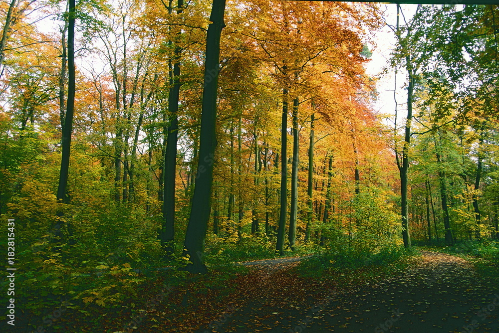 Fototapeta premium hannover