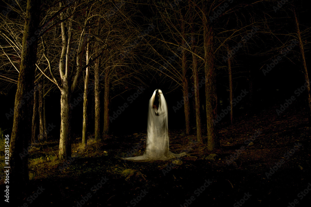 Ghost in the dark forest Stock Photo Adobe Stock