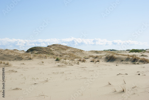 Fotografi landscape of the Curonian Spit