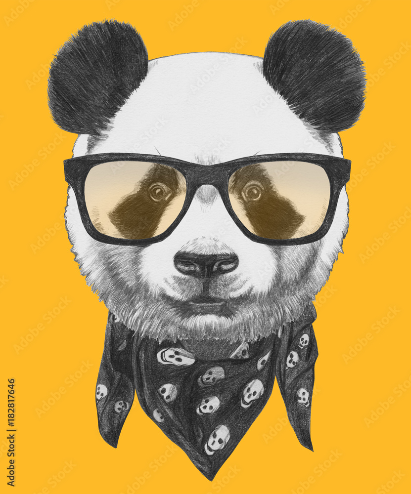 Fototapeta premium Portret Pandy w okularach i szaliku. Ręcznie rysowane ilustracji.