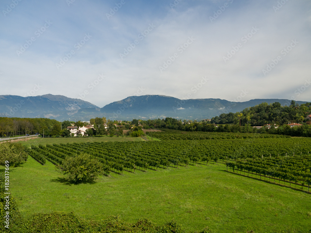 Mountains alps flora mountain house italy coldness town south tyrol grape wine. Autumn 2017 Mountains alps flora mountain house italy coldness town south tyrol grape wine. Autumn 2017