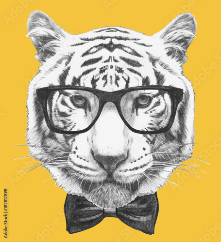 Portrait of Tiger with glasses and bow tie. Hand-drawn illustration. wall  mural wallpaper | Muraledesign.com
