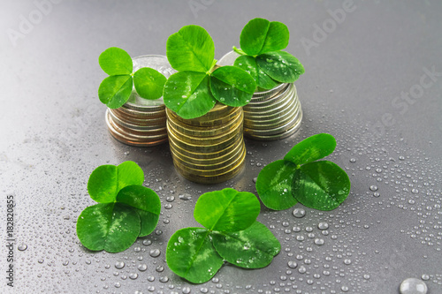 Stacks of Russian coins with clover leaves on a gray background with droplets of water. St.Patrick 's Day. photo