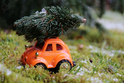 tannenbaum auf dem autodach photo