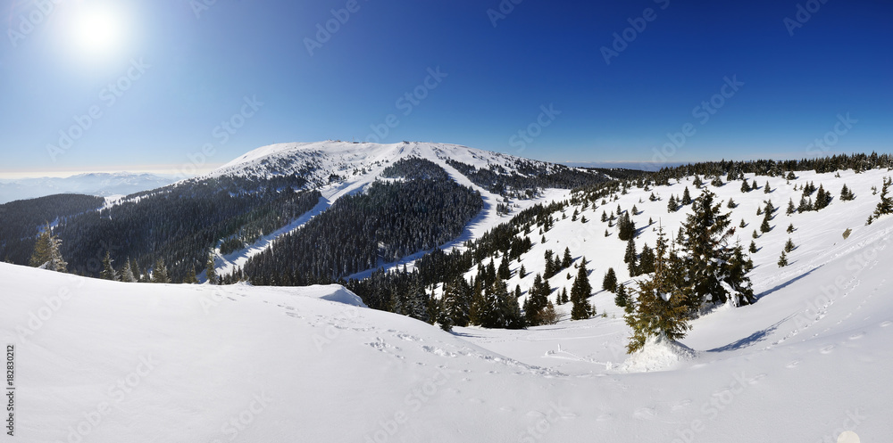 Fototapeta premium Winter vacation in mountain