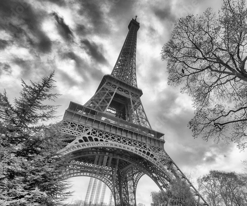 Fototapeta Naklejka Na Ścianę i Meble -  Skyward view of Eiffel Tower on a cloudy winter day - France