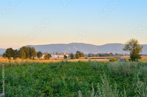 Summer rural landscape. Meadows and mountains in summer evening scene.