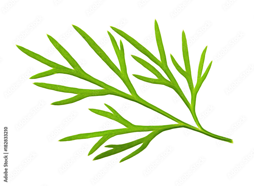 Dill. Dill.