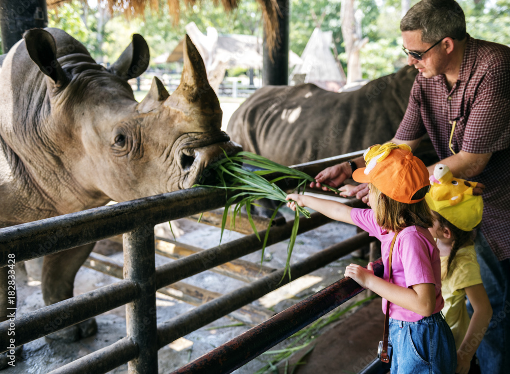 Naklejka premium Młode dziewczyny kaukaski karmienia nosorożca w zoo