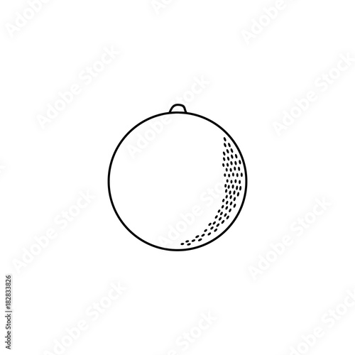 vector flat sketch style black and white contour orange. Isolated illustration on a white background. Healthy vegetarian eating, dieting and lifestyle design object.