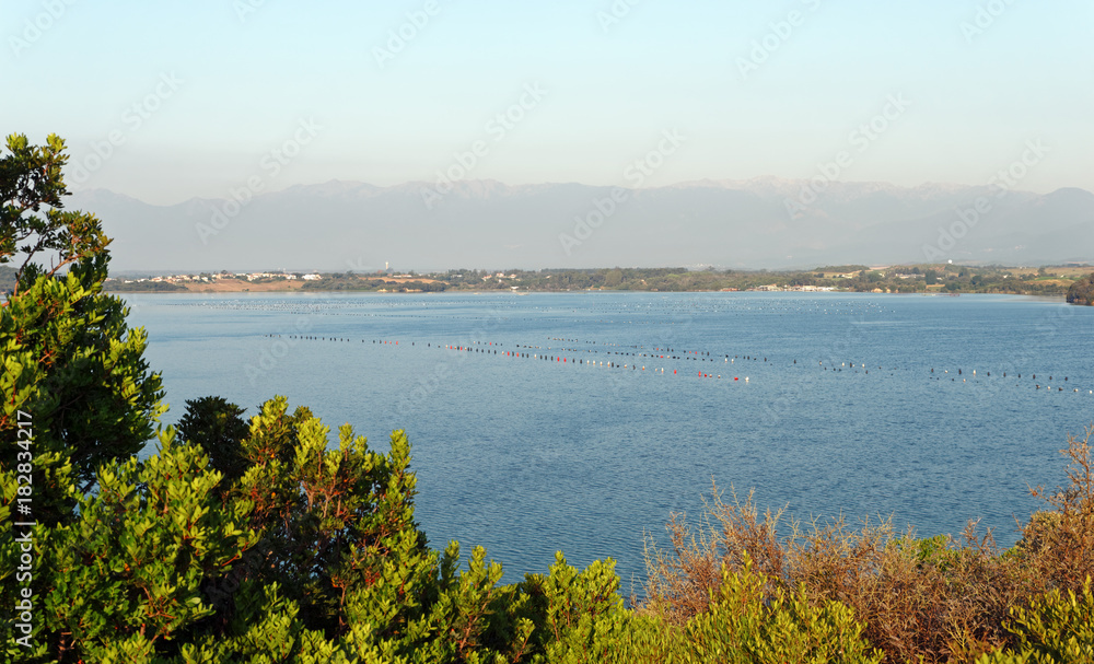 Diane lake in eastern coast of Corsica