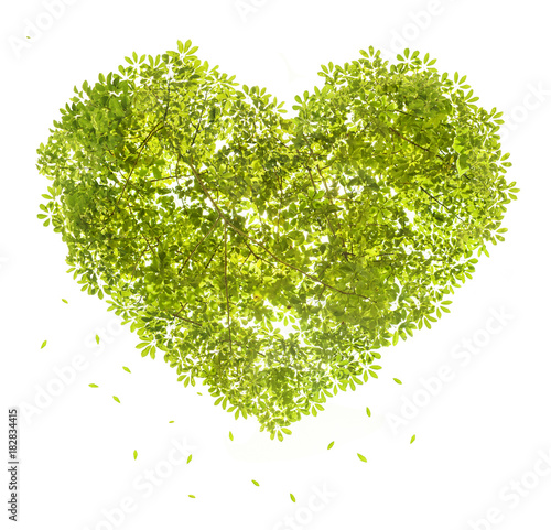 heart shape of green leave symble of love on white background,illustration render
