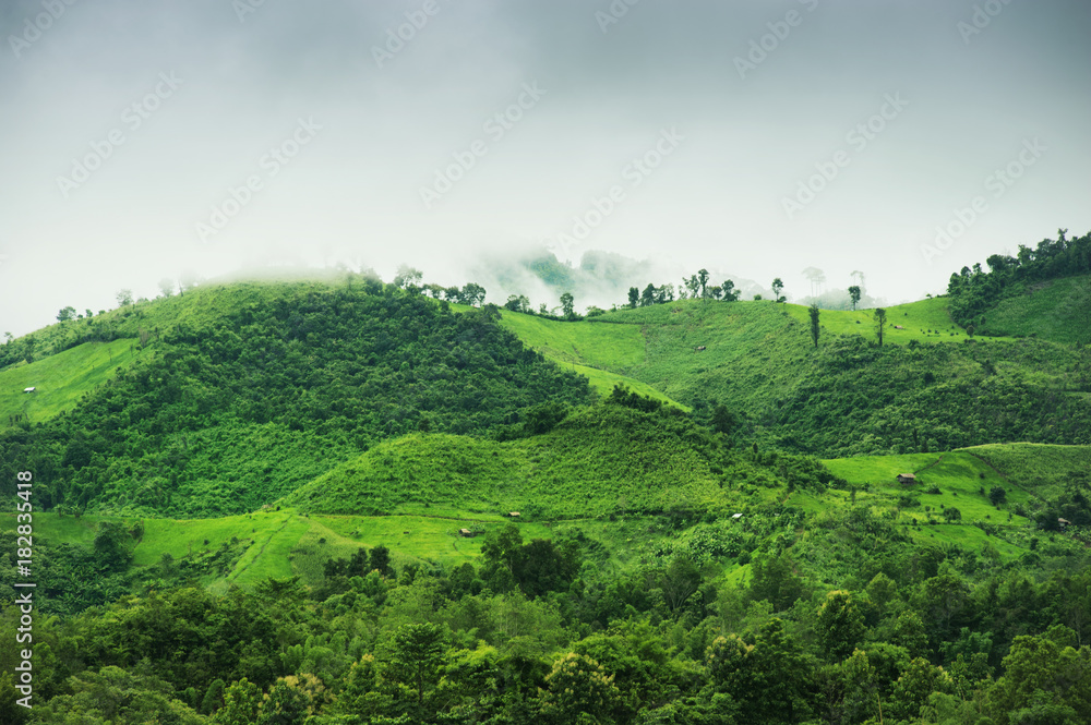 Beautiful mountains In the province of Nan It is beautiful, fresh, green and full of fog on the top of the hill with paddy fields full of rice in the rain season, tourist attraction in thailand