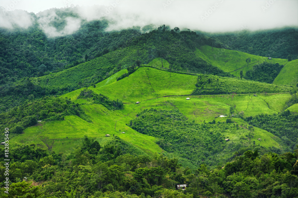 Beautiful mountains In the province of Nan It is beautiful, fresh, green and full of fog on the top of the hill with paddy fields full of rice in the rain season, tourist attraction in thailand Beautiful mountains In the province of Nan It is beautiful, fresh, green and full of fog on the top of the hill with paddy fields full of rice in the rain season, tourist attraction in thailand
