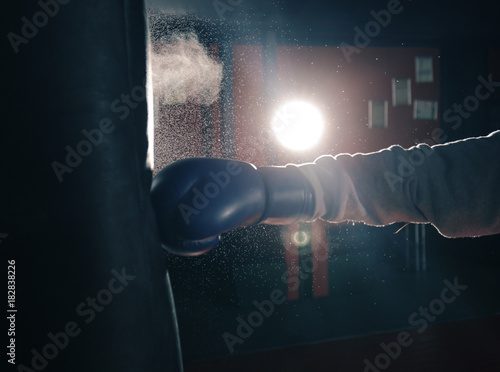 Young professional boxer training with punching bag in gym © Africa Studio