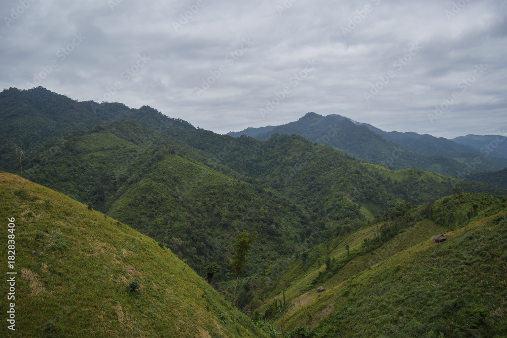 Beautiful mountain with rice field Beautiful mountain with rice field