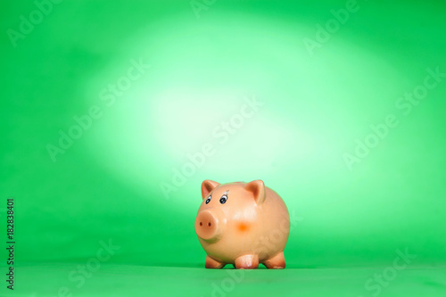 Piggy bank on green background
