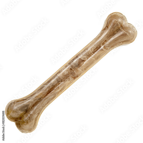 Dog bone isolated