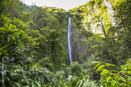 Tall Waimoku Falls on Maui island, Hawaii