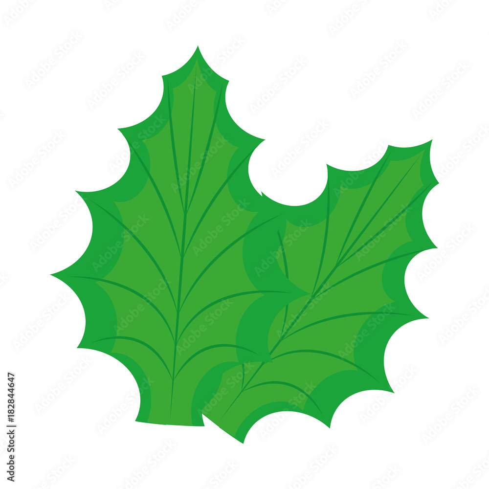 Fototapeta premium christmas leafs decorative icon vector illustration design